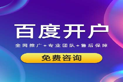 某知名品牌网络推广竞价全解析